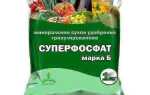 Виды подкормок для картошки