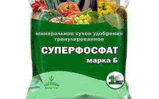 Виды подкормок для картошки