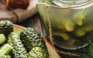 5 самых простых и вкусных рецептов засолки огурцов на зиму