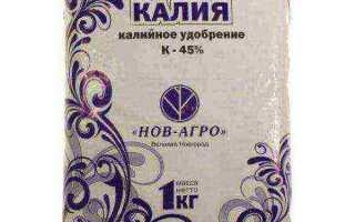 Чем удобрять помидоры