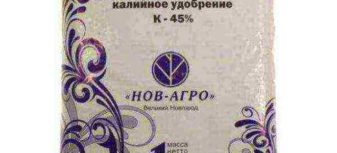 Чем удобрять помидоры