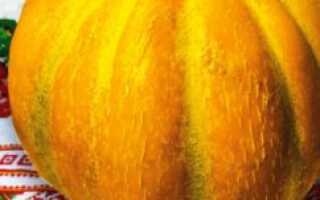 Дыня Эфиопка: отзывы, описание сорта, фото, урожайность, выращивание