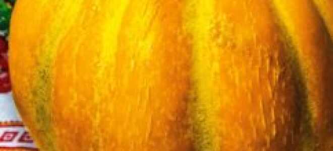Дыня Эфиопка: отзывы, описание сорта, фото, урожайность, выращивание