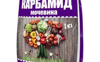 Подкормка и обработка роз карбамидом (мочевиной) весной
