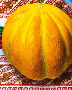 Дыня Эфиопка: отзывы, описание сорта, фото, урожайность, выращивание