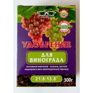 Виноград Плевен: устойчивый, мускатный, Августин