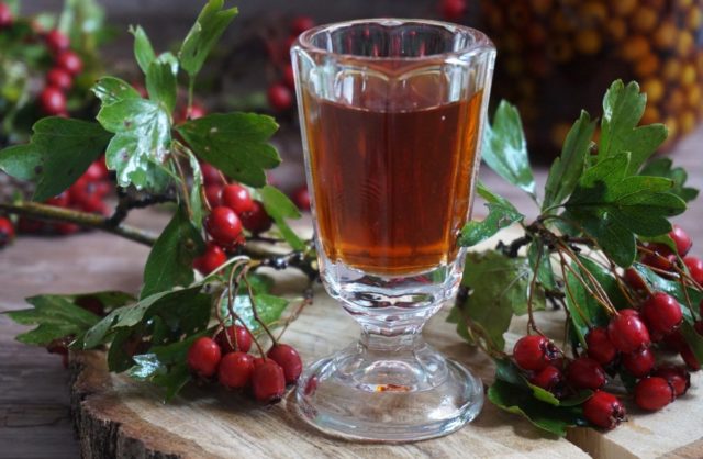 Боярышник колючий (обыкновенный): описание растения, посадка и уход