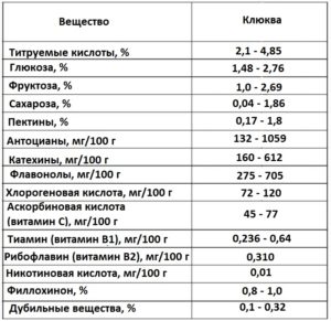 Чем полезна клюква для мужчин, женщин, детей