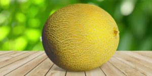 Сорта дынь с фото, названиями и описанием, оранжевые, желтые, самые сладкие, круглые, ранние