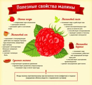 Малина Новость Миколайчика