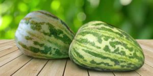 Сорта дынь с фото, названиями и описанием, оранжевые, желтые, самые сладкие, круглые, ранние