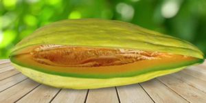 Сорта дынь с фото, названиями и описанием, оранжевые, желтые, самые сладкие, круглые, ранние