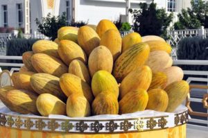 Дыня Гуляби: фото, отзывы, как выбрать