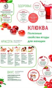Чем полезна клюква для мужчин, женщин, детей
