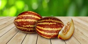 Сорта дынь с фото, названиями и описанием, оранжевые, желтые, самые сладкие, круглые, ранние
