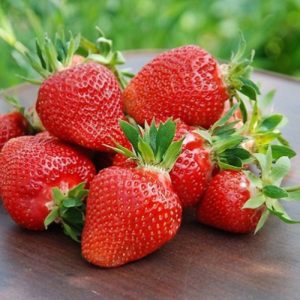 Клубника Элиане