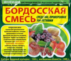 Малина Новость Миколайчика