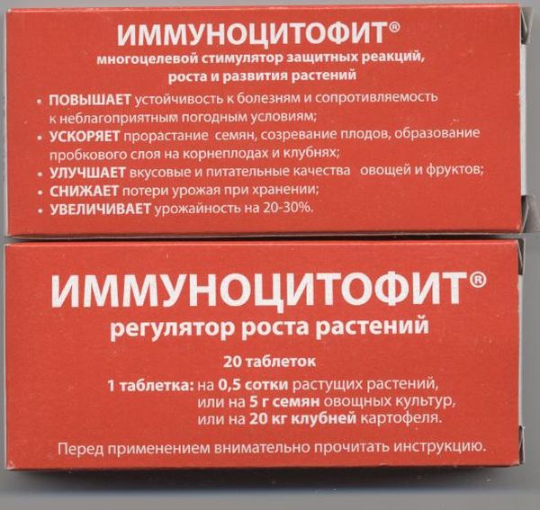 Иммуноцитофит можно использовать для профилактики заболеваний Амагера