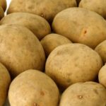 Белорусские сорта картофеля