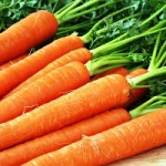 carrot
