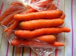 carrot_clamping2