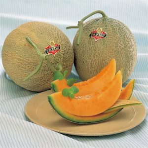 Королевская (японская) дыня Юбари – самая дорогая в мире