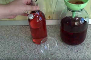 Клюква с медом: рецепт с чесноком, водкой и хреном