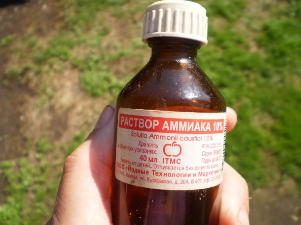 Раствор аммиака