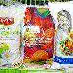 Выращивание картофеля: способы