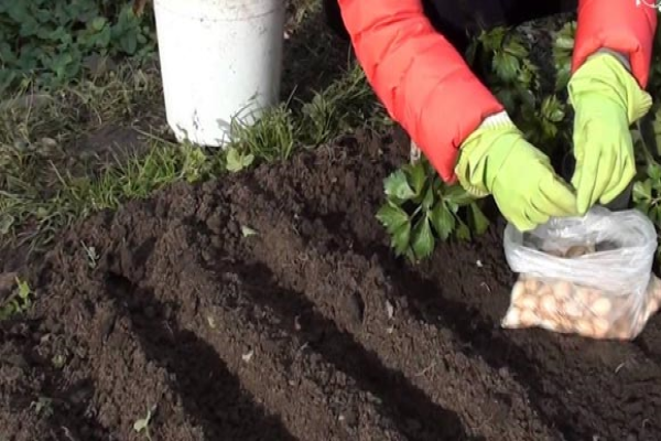 y7flRdRB.inettools.net.resize.image