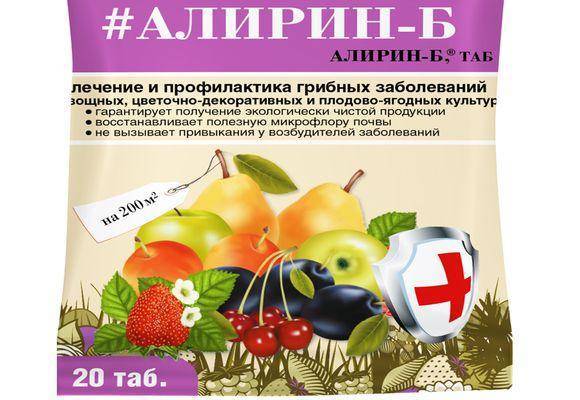 Чем обработать розы от мучнистой росы: осенью, весной, летом