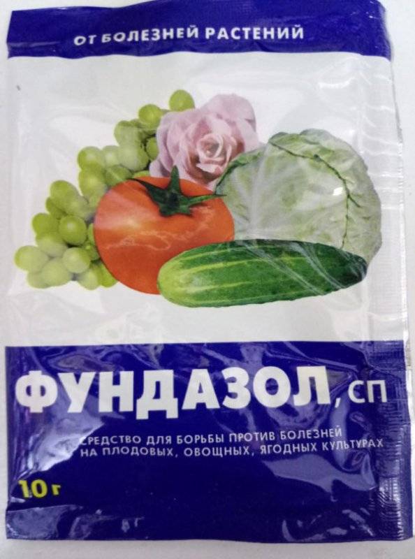 Чем обработать розы от мучнистой росы: осенью, весной, летом