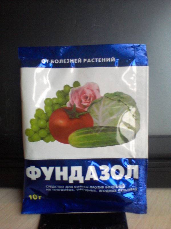 Чем обработать петунию от мучнистой росы