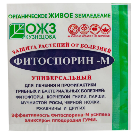 Ржавые пятна на листьях розы: что делать, чем лечить, фото