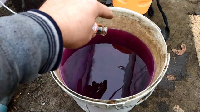 Чем подкормить гортензию весной