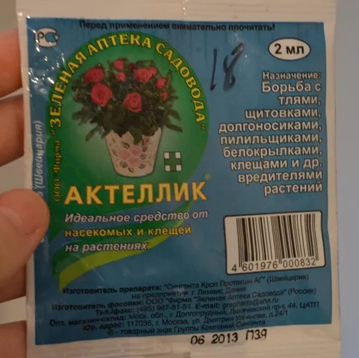 Чайно-гибридная роза Августина Луиза (Augusta Luise): описание, фото, отзывы