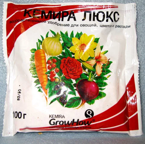 Как заставить петунию цвести