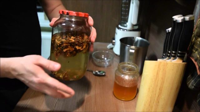 Северный борец (высокий аконит): как выглядит, полезные свойства