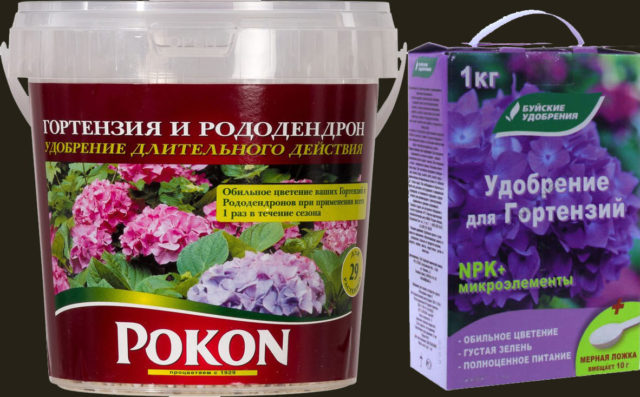 Чем удобрять гортензию в июне, июле и августе
