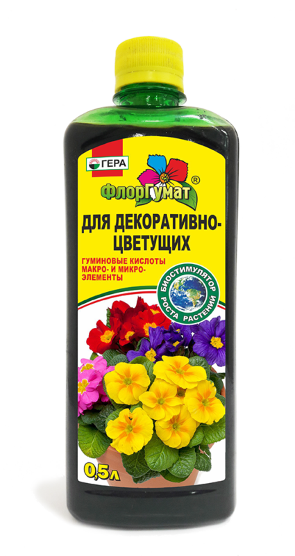 Барвинок травянистый: описание, посадка и уход, фото