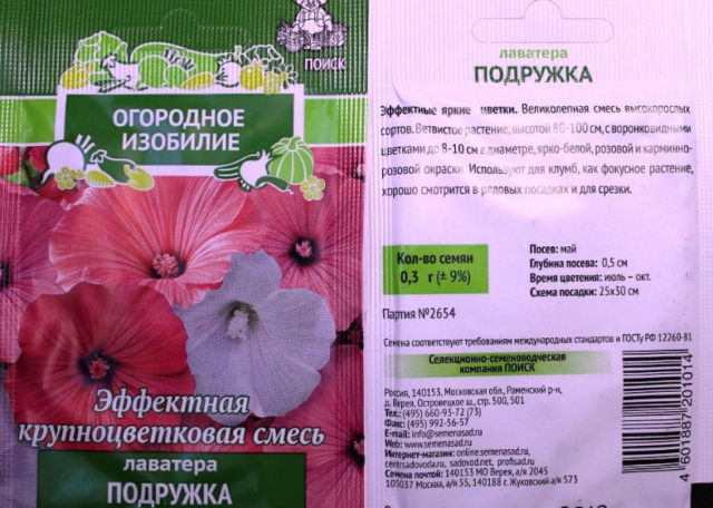 Хатьма (лаватера) трехмесячная: посадка и уход, фото