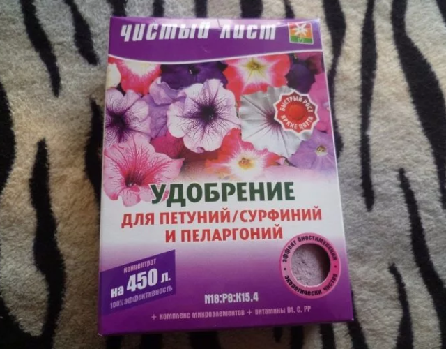 Петуния и сурфиния: отличие, что лучше