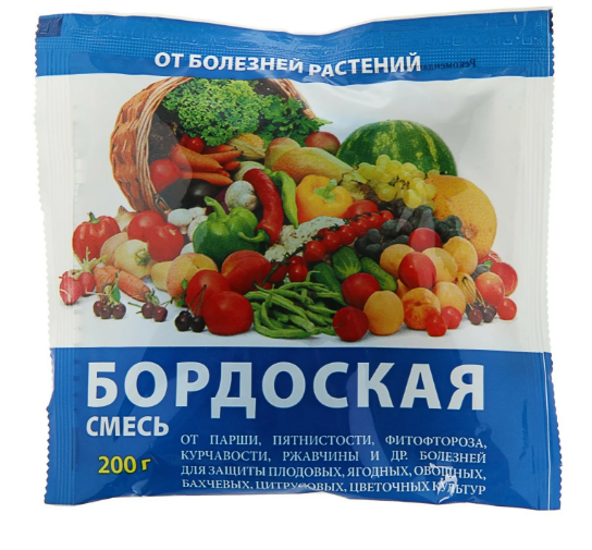 Хлороз листьев у петунии: чем лечить, как бороться