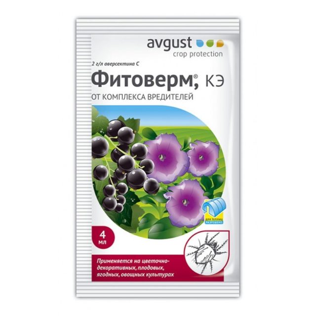 Почему петуния липкая и что делать