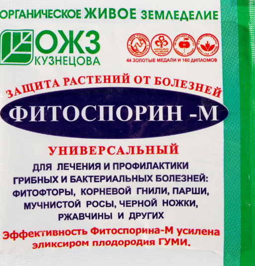 Сорт розы Фламентанц (Flammentanz): фото и описание, отзывы