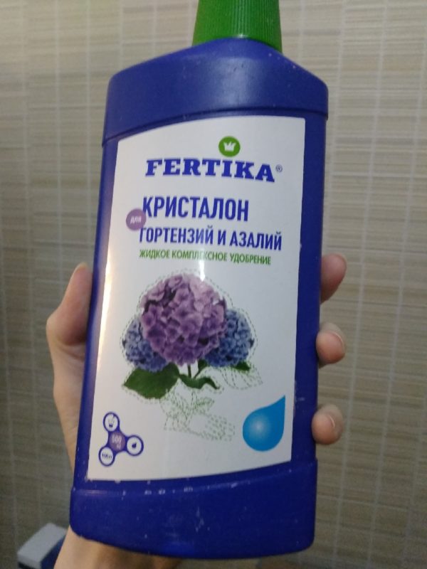 Чем подкормить гортензию весной